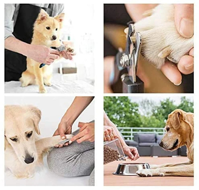 Dogs having their nails trimmed