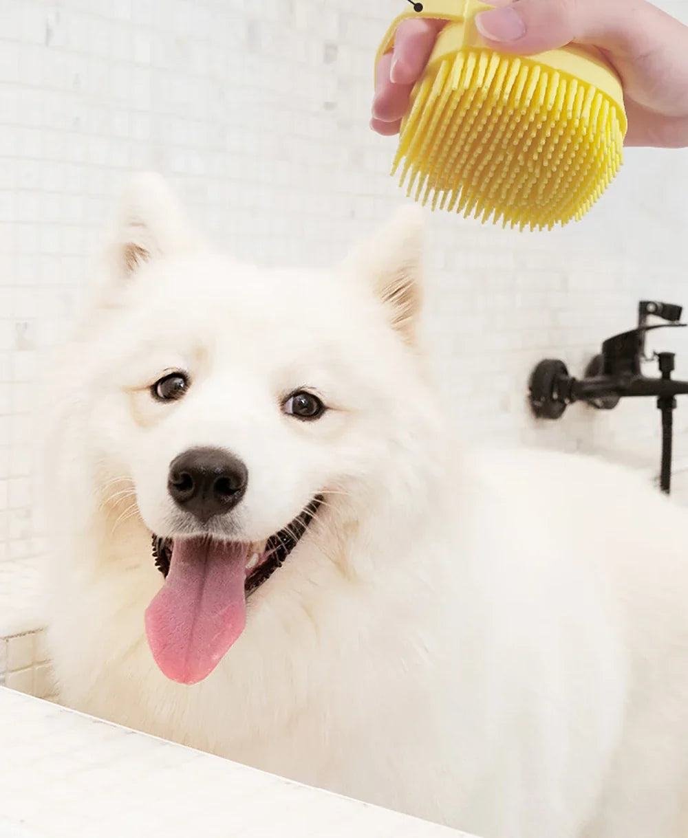 Samoyed at bath time with the bath brush