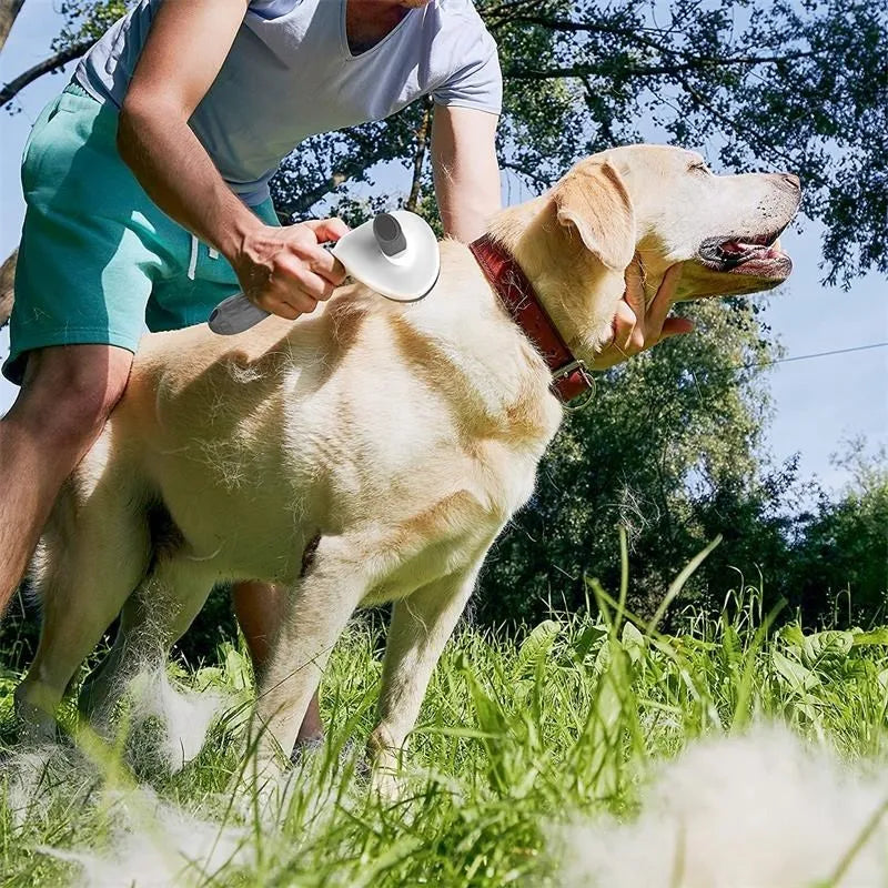 Brushing a Labrador with the self-cleaning brush