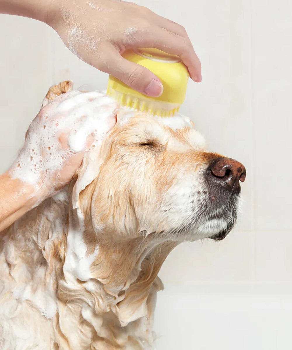 Washing a Golden Retriever with the bath brush